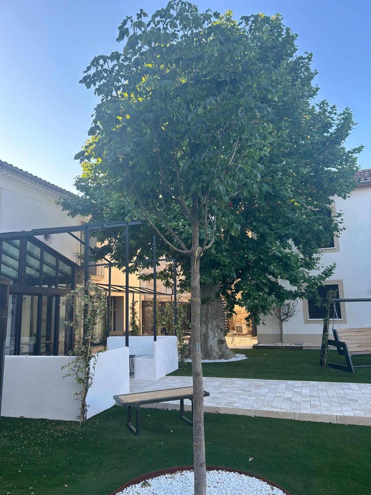 Bed and Breakfast Les Marronniers Laverune Экстерьер фото